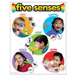 Chart Five Senses 17 X 22 Gr Pk-2 By Trend Enterprises