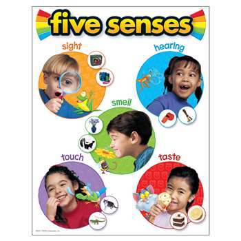 Chart Five Senses 17 X 22 Gr Pk-2 By Trend Enterprises