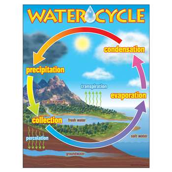 Chart The Water Cycle By Trend Enterprises