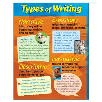 Chart Types Of Writing 17 X 22 By Trend Enterprises