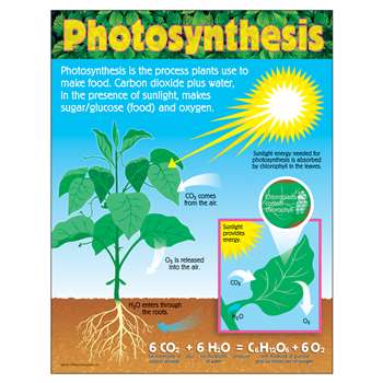 Chart Photosynthesis Grades 4-8 By Trend Enterprises