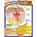 Learning Chart Our Amazing Skin, T-38295