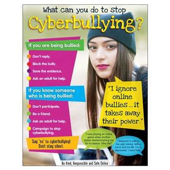 Cyberbullying Learning Chart Secondary, T-38643