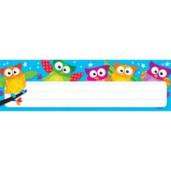 Owl Stars Desk Toppers Name Plates By Trend Enterprises