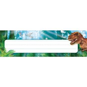 Discovering Dinosaurs Desk Toppers Name Plates, T-69239