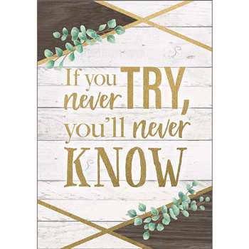 If You Never Try Youll Never Poster, TCR7979