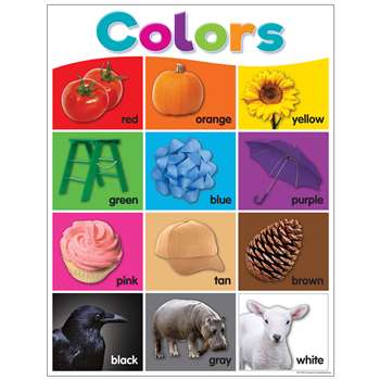 Colorful Colors Chart, TCR7991