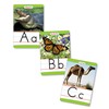 Bb Set Animals From A To Z Manuscript Alphabet Set By Teachers Friend