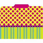 Pink Dots On Stripes File Folders, TOP3350