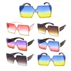 COLOR SUNGLASSES / EA 0496