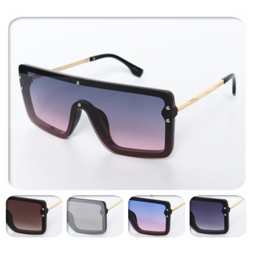 COLOR SUNGLASSES / J 2841 P