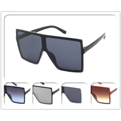 COLOR SUNGLASSES / J 2916 P