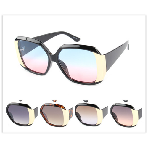 COLOR SUNGLASSES / J 2977 P