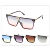 COLOR SUNGLASSES / J 7055 P