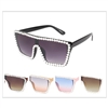 COLOR SUNGLASSES / J 7394 P