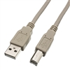 WholesaleCables.com 10U2-02210 10ft USB 2.0 Printer/Device Cable Type A Male to Type B Male