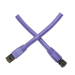 13X8-54101 - 1ft Cat8 Purple Copper Ethernet Cable 40Gbps - 2000MHz