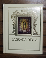 Sagrada Familia Catholica Biblia