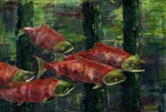 Five Spawning Sockeye