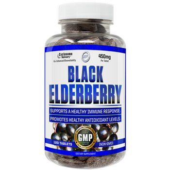 Black Elderberry