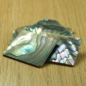 Green Abalone Shell Blanks