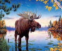 1031 3D Picture Moose