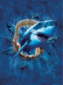 120 3D Lenticular Picture Shark