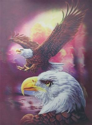 161 433 3d eagle with soaring eagle 2a2529