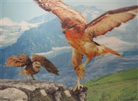 163 3d eagle with owl 2a2022