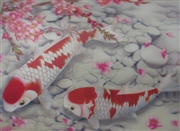 184 3d 2 koi white and red 2a2025