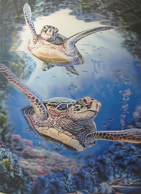 211 3d two sea turtles 2a2568