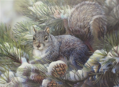 224 3d squirrel 2a2042