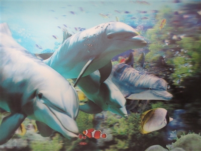 228 3d dolphins 2a2056