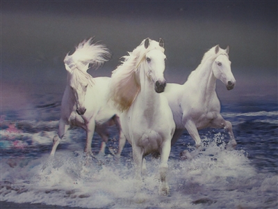 250 3d 3 white horses in water 2a2106