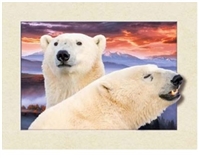 729 5D 30x40cm Deep Polar Bears