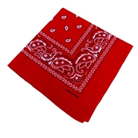 BN43-2  BANDANA-RED PAISLEY