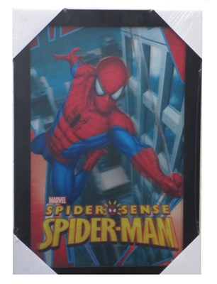 Marvel 3d Picture Spiderman 101