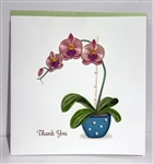 "Thank You Potted Orchid"