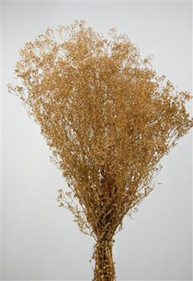 Dried Babys Breath (Dried Gypsophila) Natural Brown Color