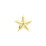 Blackinton 1 Star Pin