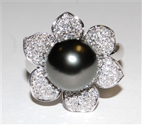Fine Jewelry - Rings - 18 Karat White Gold, South Sea Pearl and Diamond Ring