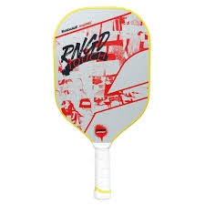 160002 Babolat Renegade Touch Pickleball Paddle