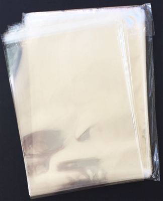 11 1/4" x 14 3/8" Clear Bag