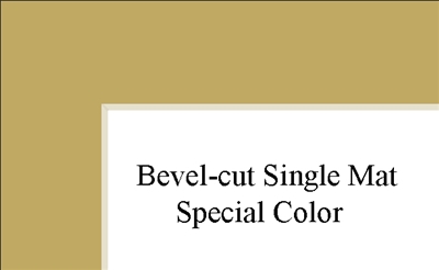 10" x 12" (6 1/2" x 8 1'2") Single Mat - Special Colors