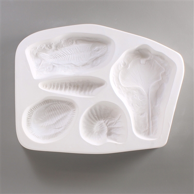 A rectangular, white ceramic mold for fusing hot glass on a grey background. Five separate realistic fossil designs have been carved into it. Right is a gingko leaf,  top left a fish, middle left a shell, bottom left a trilobite, bottom middle an ammonite