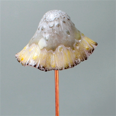 A fused glass mushroom on a copper tube stem in front of a grey background. The mushroom has been shaped into a realistic mushroom shape and is primarily light grey at the top and cream at the bottom, with a bit of dark brown at the base.