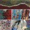 A collage of seven different images featuring close-ups of glass projects made using frit slurries. The close-ups show the detail and vivid colors that are possible when using this technique.