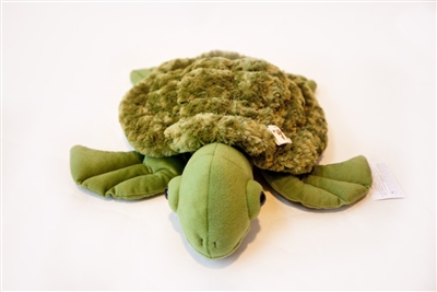 Got Special Kids |Fuzzy Fin the Weighted Turtle