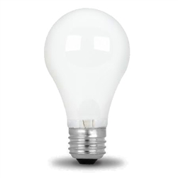 100 Watt Rough Service Light Bulb