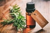 Pure Rosemary Essential Oil